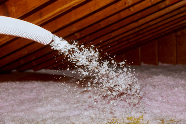 Best Home Insulation Services  in Eunice, NM