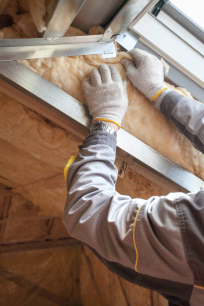 Best Local Insulation Services  in Eunice, NM
