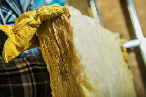Best Insulation Contractor Near Me  in Eunice, NM
