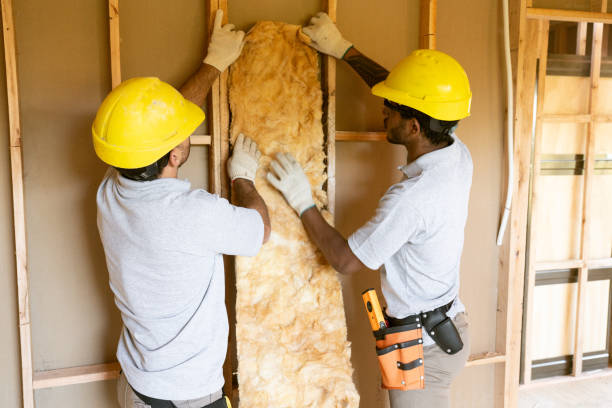 Best Blown-in Insulation  in Eunice, NM